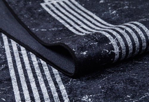 Digital Print Area Rug – Black Frame Stylish Non Slip Antibacterial Carpet