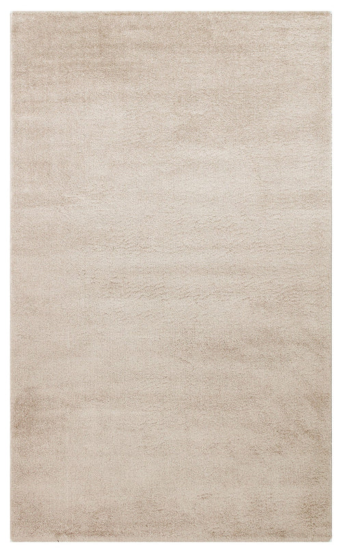 Modern Machine Made Rug – Beige Area Rug Flatweave Soft Textured Easy Clean