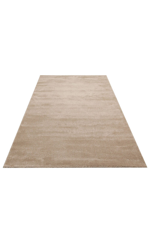 Modern Area Rug – Beige Machine Made Rug with Anti Slip, Dustproof Flatweave Carpet