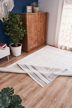 Modern Area Rug – Machine Made Carpet with Cotton Yarn for Living Room