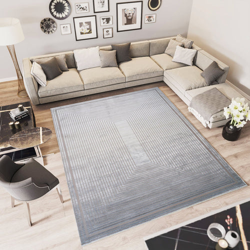 Grey Viscose Area Rug - Machine Made Frame Design Carpet for Living Room