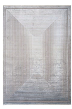 Grey Viscose Area Rug - Machine Made Frame Design Carpet for Living Room
