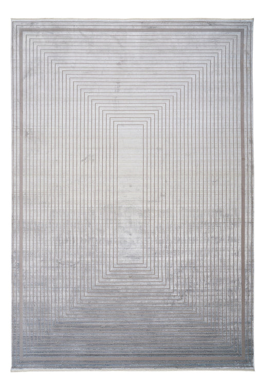 Grey Viscose Area Rug - Machine Made Frame Design Carpet for Living Room