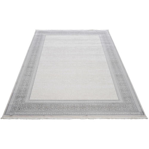 Grey Area Rug – Machine Made Durable Flatweave Carpet with Stylish Frame Design