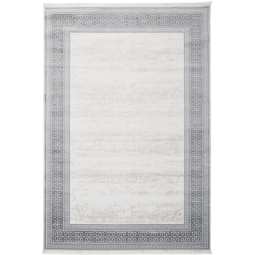 Grey Area Rug – Machine Made Durable Flatweave Carpet with Stylish Frame Design