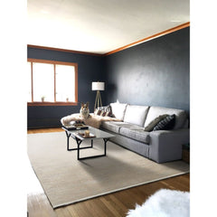 Beige Modern Area Rug – Machine Made Polyp Cotton Flatweave Washable Mat