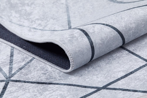 Rubtsovsk Grey Frame Digital Print Area Rug