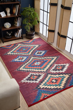 Bhopal Burgundy Geometric Digital Print Area Rug