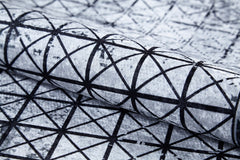 Digital Print Area Rug - Black Frame Modern Rug | Antibacterial Non Slip Carpet