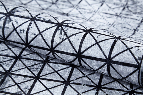 Digital Print Area Rug - Black Frame Modern Rug | Antibacterial Non Slip Carpet