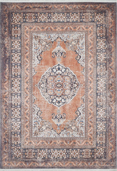 Classic Area Rug – Digital Print Brown Frame Non Slip Antibacterial Carpet