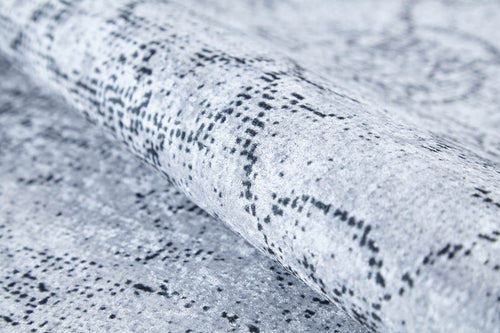 Brzeziny Grey Classic Digital Print Area Rug