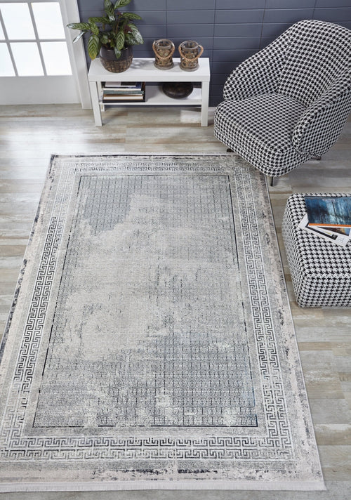 Larkana Grey Frame Digital Print Area Rug