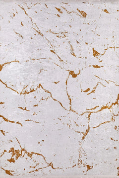 Modern Digital Print Rug – Gold Area Rug Antibacterial Non Slip Carpet