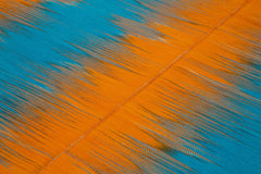 Degrade Kilim Orange Striped Cotton Wool Handmade Area Rug 6'8'' x 9'5''