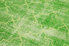 Geometric Carpet Green Geometric Cotton Wool Handmade Area Rug 4'9'' x 9'2''