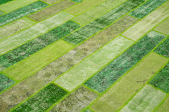 Handmade Area Rug - Green Patchwork Cotton Wool Vintage Turkish Carpet 8'1''x10'1''