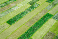 Handmade Area Rug - Green Patchwork Cotton Wool Vintage Handwoven Carpet 8'1" x 10'1"