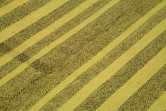 Geometric Kilim Green Geometric Goat Hair Handmade Rug 7'0'' x 8'10''