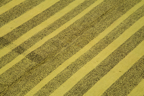 Geometric Kilim Green Geometric Goat Hair Handmade Rug 7'0'' x 8'10''