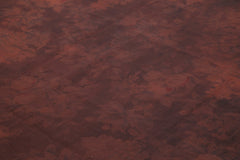 Needlepoint Brown Floral Cotton Wool Handmade Area Rug 8'2'' x 11'3''