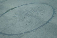 Needlepoint Blue Floral Cotton Wool Handmade Area Rug 9'1'' x 12'9''