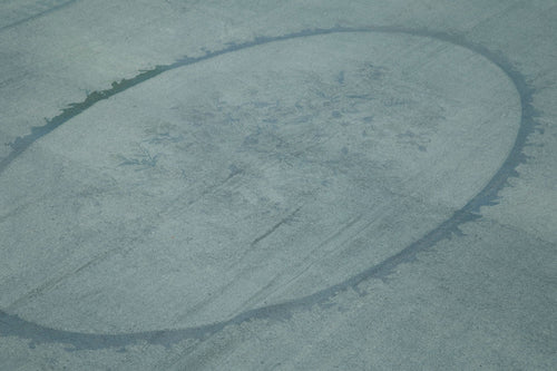 Needlepoint Blue Floral Cotton Wool Handmade Area Rug 9'1'' x 12'9''