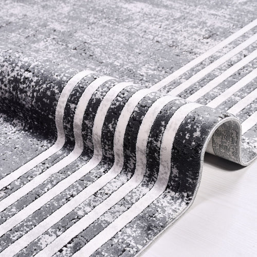 Aniyah Grey Frame Machine Made Area Rug