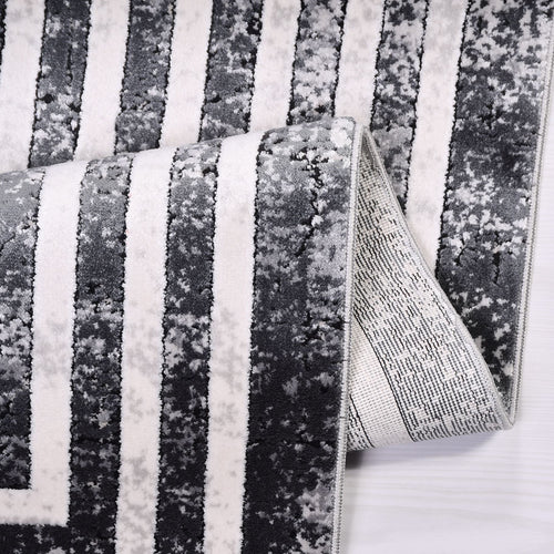 Aniyah Grey Frame Machine Made Area Rug