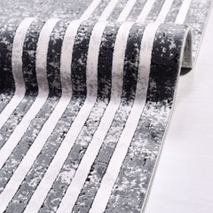 Aniyah Grey Frame Machine Made Area Rug