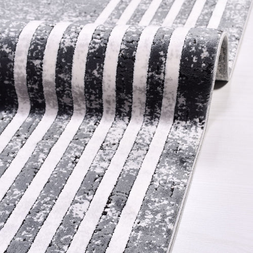 Aniyah Grey Frame Machine Made Area Rug