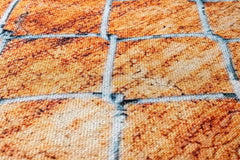 Orange Geometric Area Rug – Cotton Chenille Digital Print Carpet for Living Room